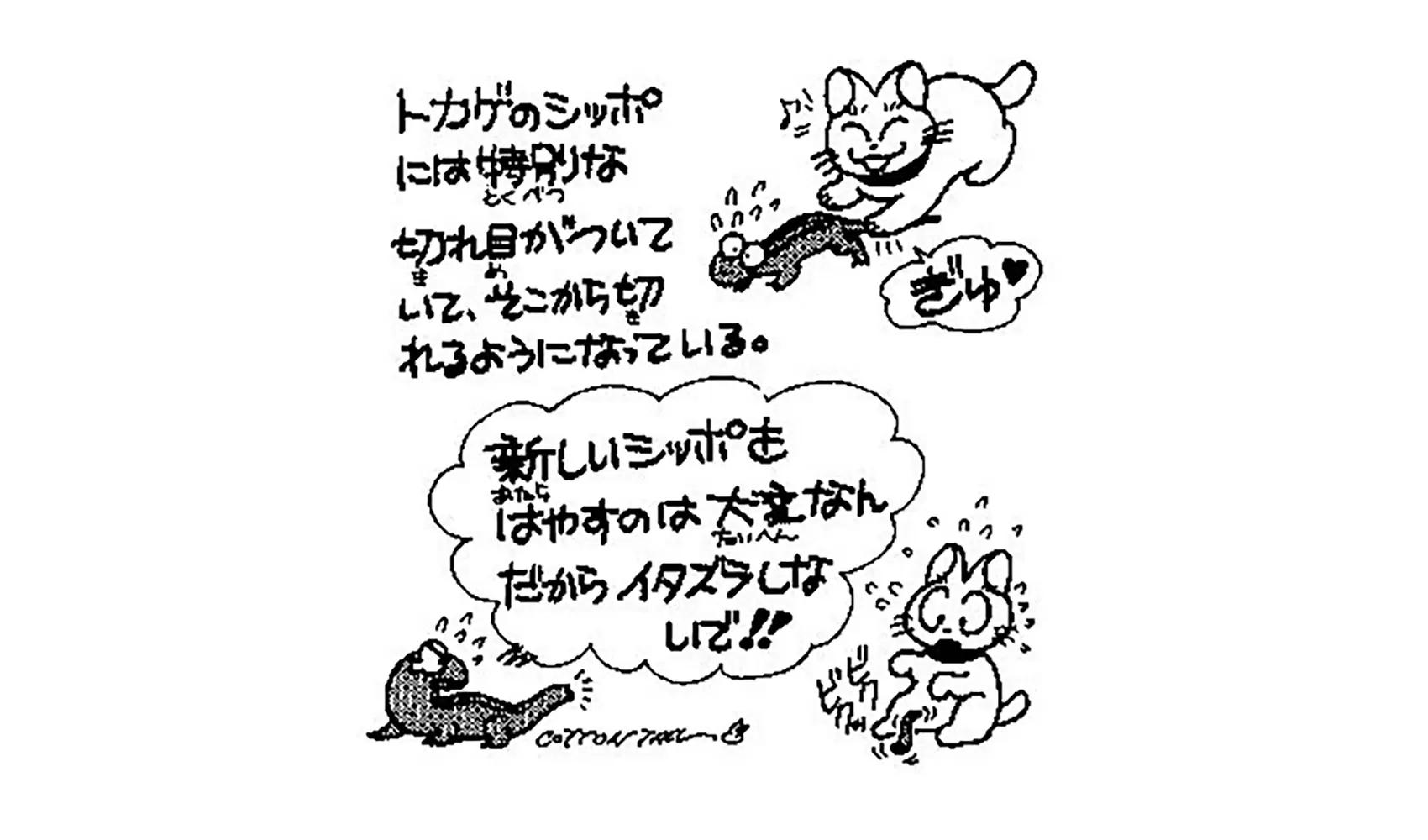 どうしてトカゲのしっぽは切れてもまた生えてくるの