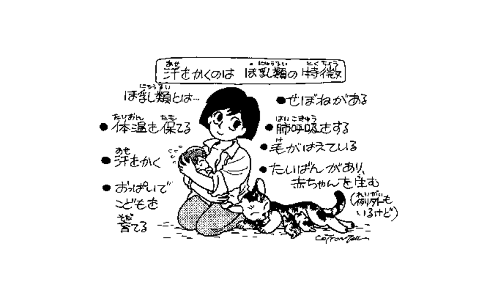 動物はあせをかくの