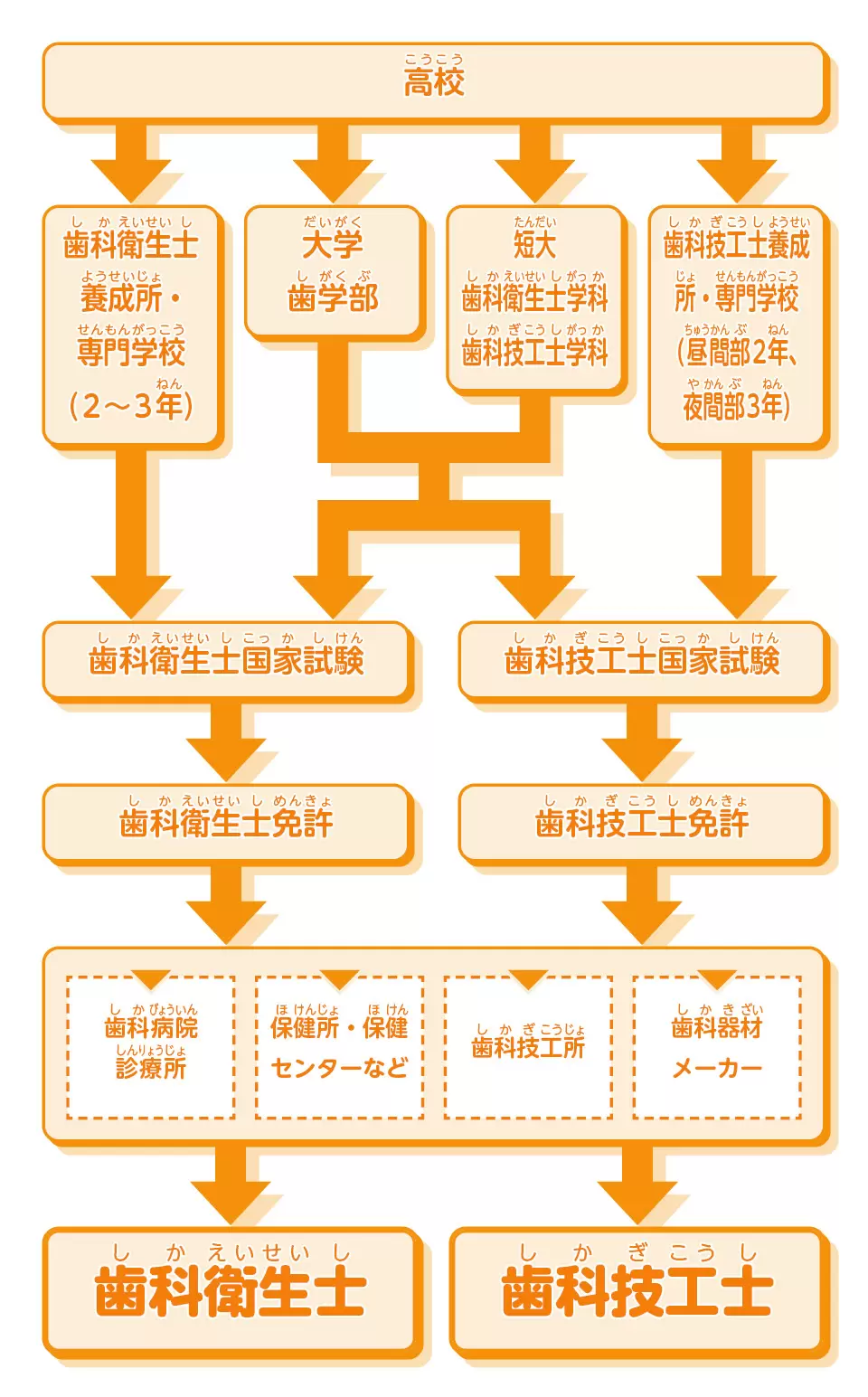 【中古】 なりたい！！歯科医師・歯科衛生士・歯科技工士 よくばり資格情報源…取り方＆活用法 改訂版/ダイエックス出版/大栄出版 中古】 なりたい！！歯科医師・歯科衛生士・歯科技工士 よくばり