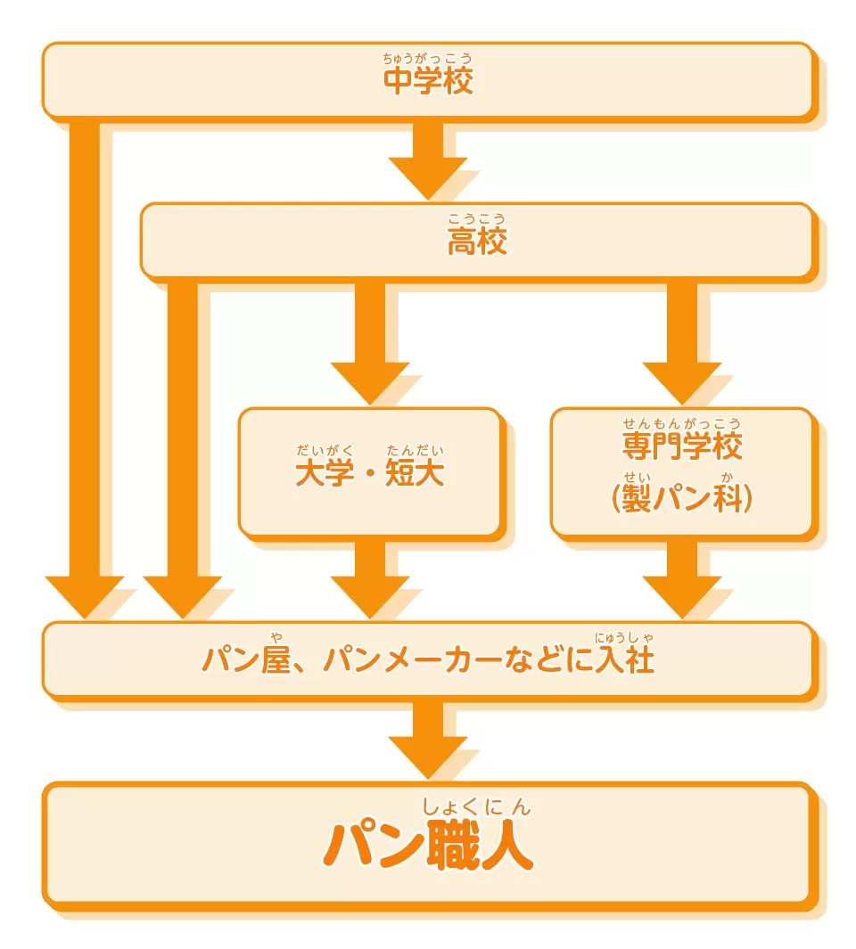 パン職人 | 栄養・調理・製菓 | 未来の仕事を探せ！ | 未来の仕事 | 学研キッズネット