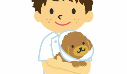 動物看護師