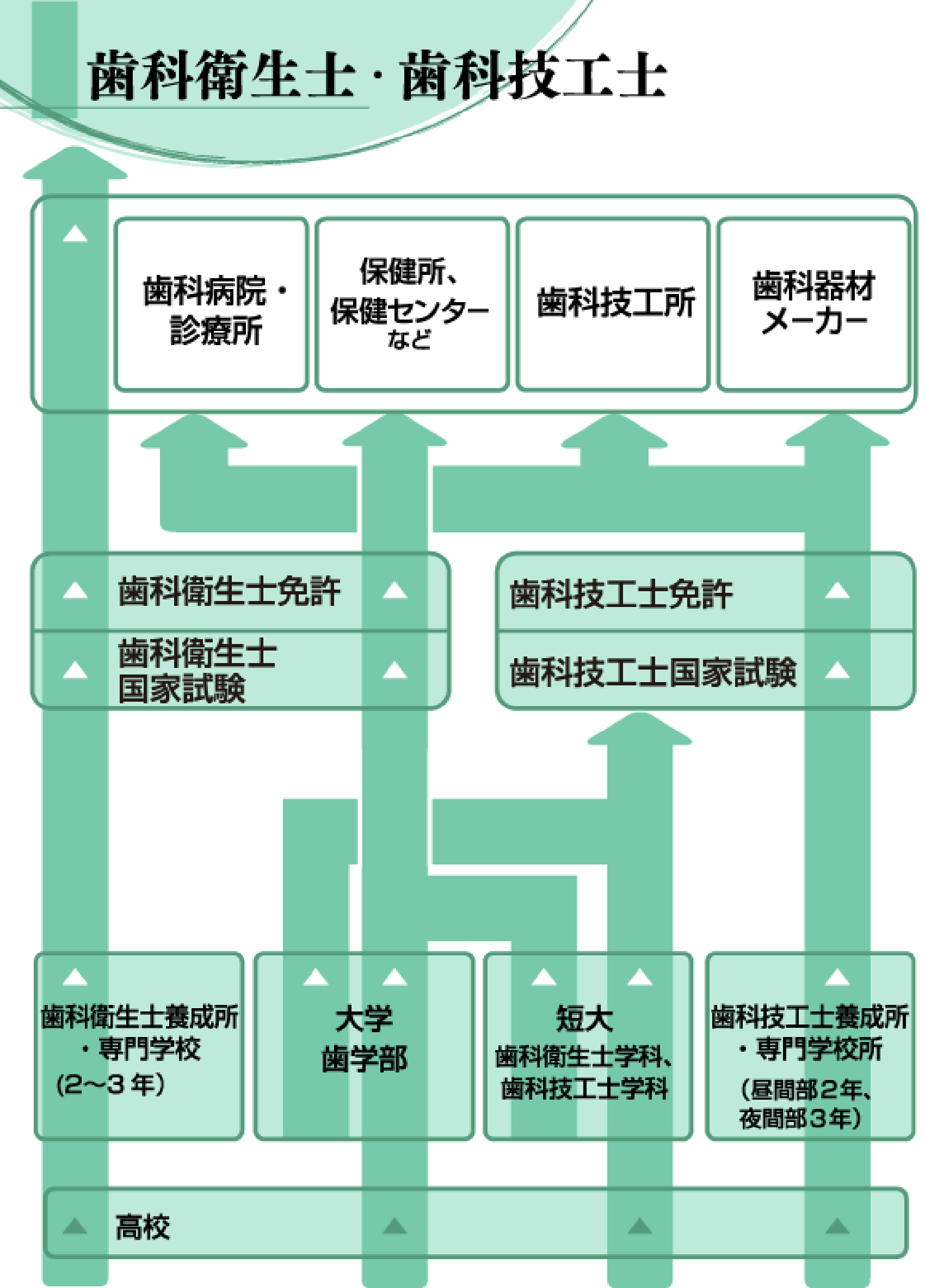 歯科衛生士 歯科技工士 医療 医療事務 未来の仕事を探せ 未来の仕事 学研キッズネット