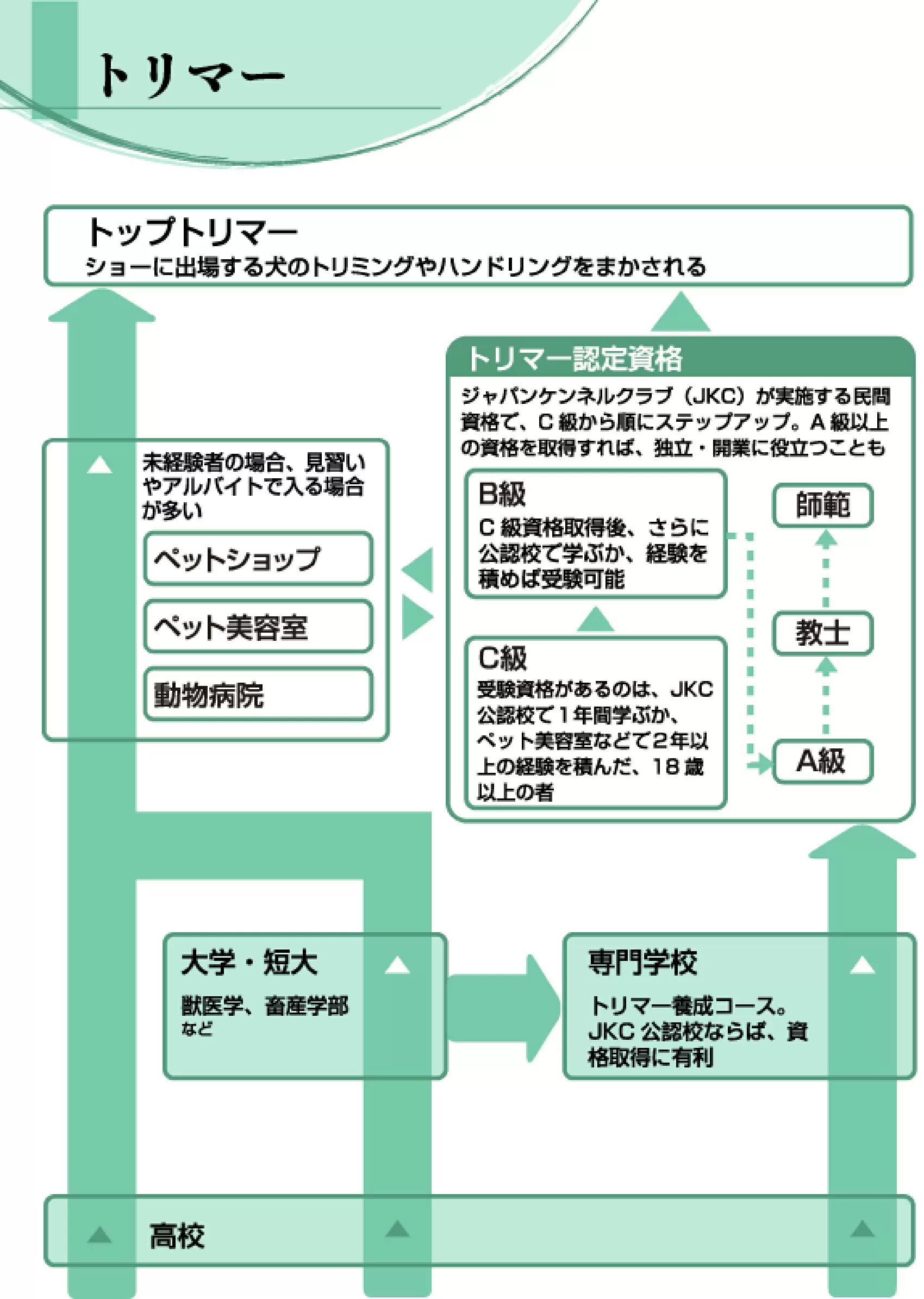 ペット 美容 オファー 師 資格