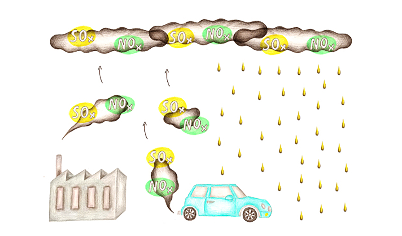 酸性雨の原因は何ですか？