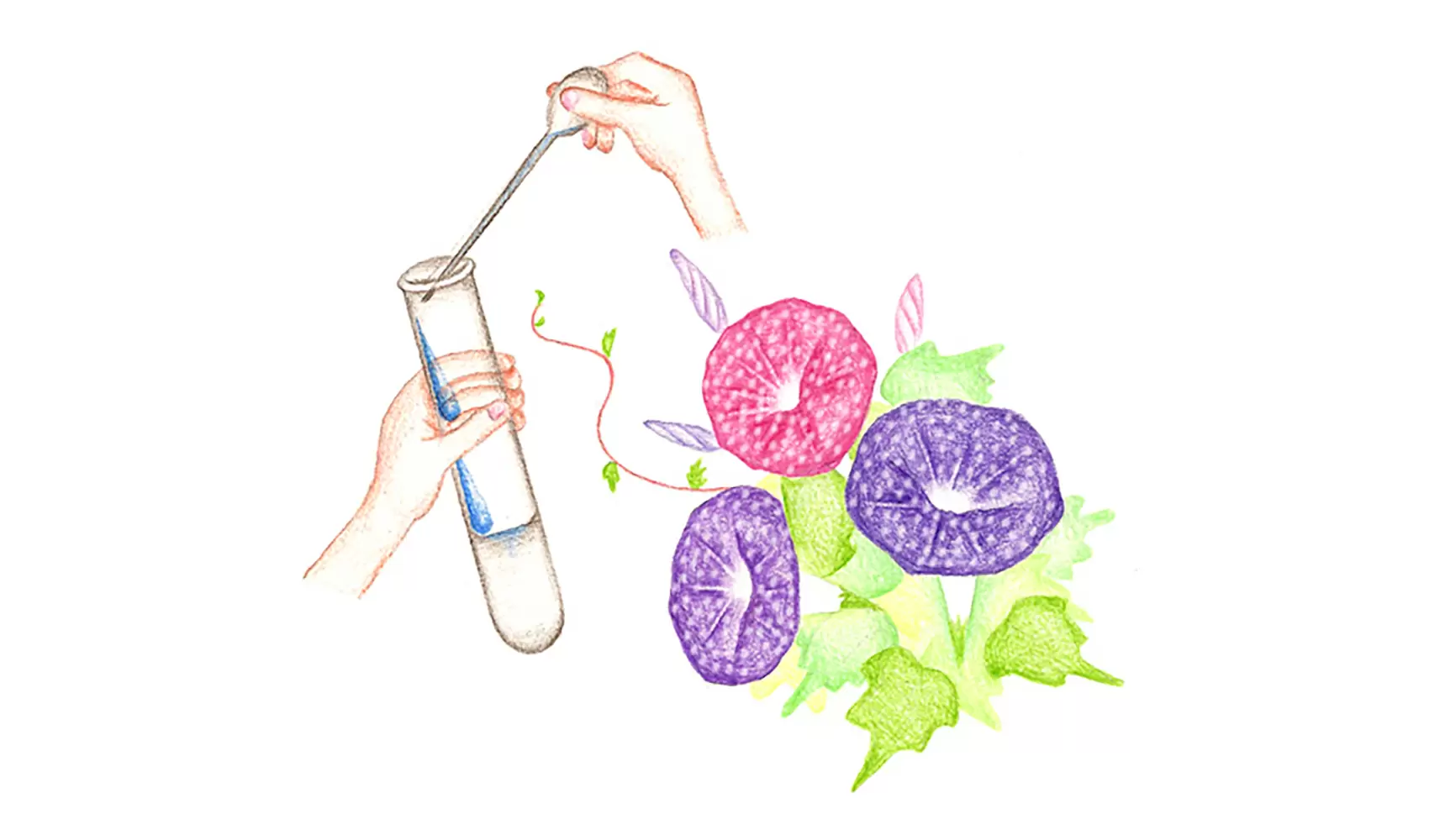 酸性雨がふっているか調べる方法はありますか？