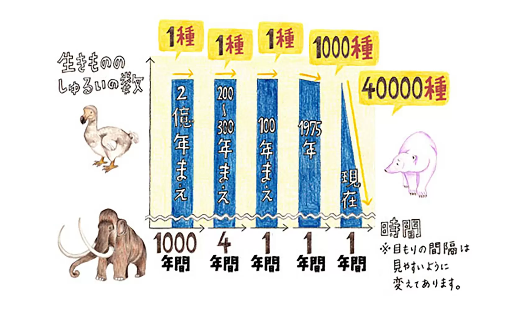 動物や植物は毎年どのくらい絶滅しているのですか？