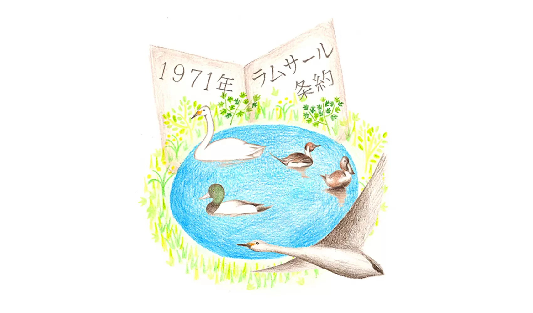 ラムサール条約って、何ですか？