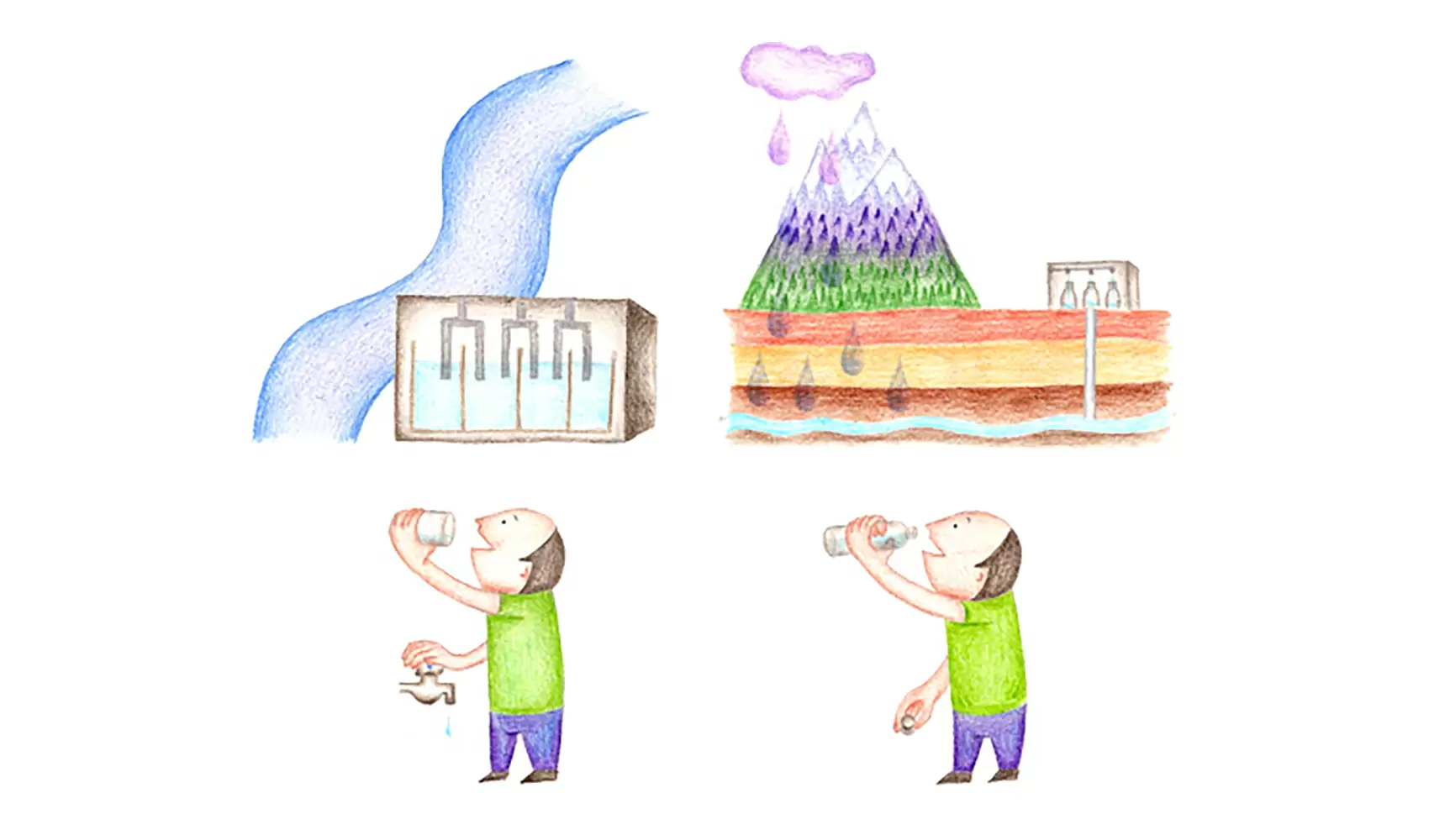 水道水とミネラルウォーターはどちらが安全なのですか？