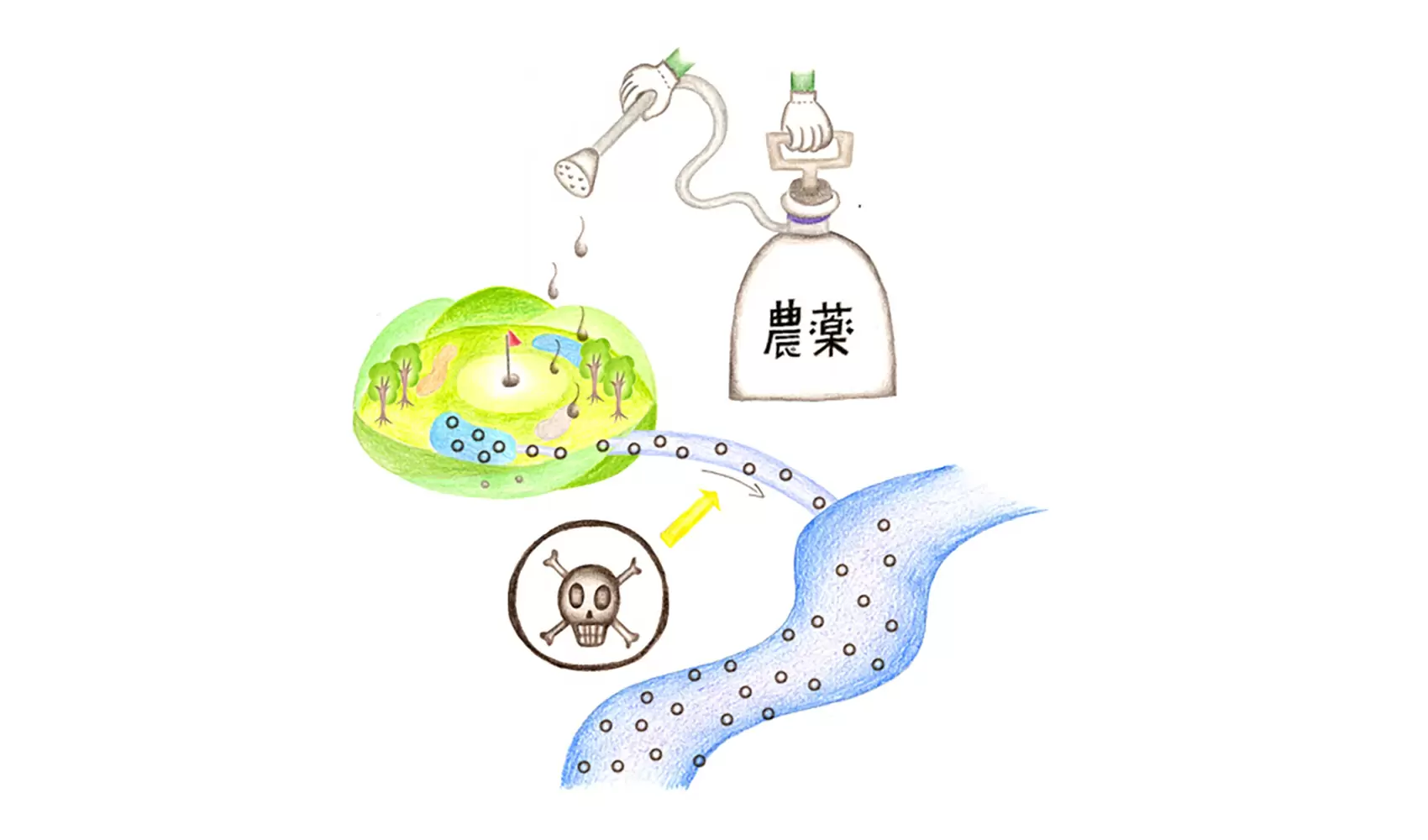 ゴルフ場は、川の水をよごしているのですか？