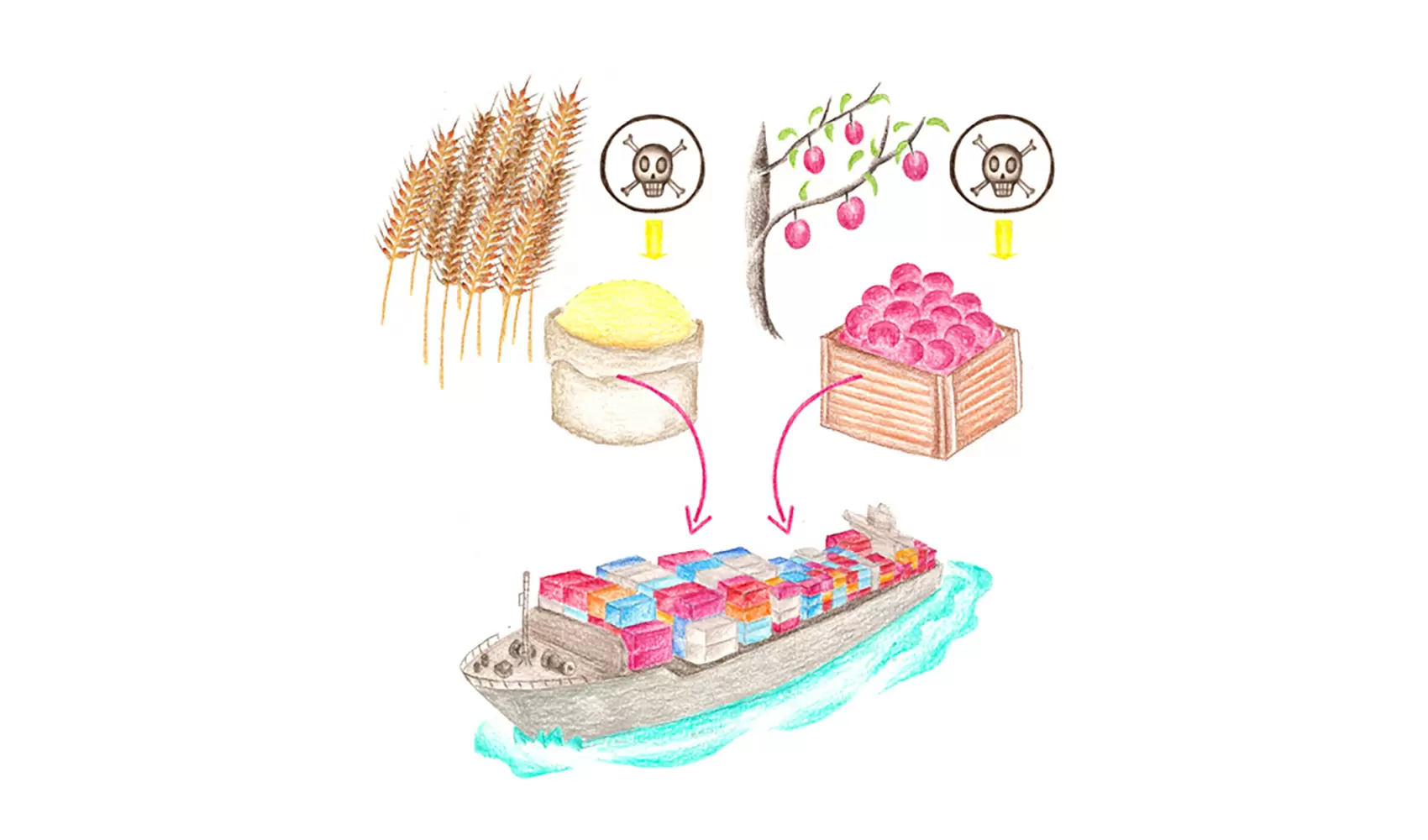 ポストハーベスト農薬って、何ですか？
