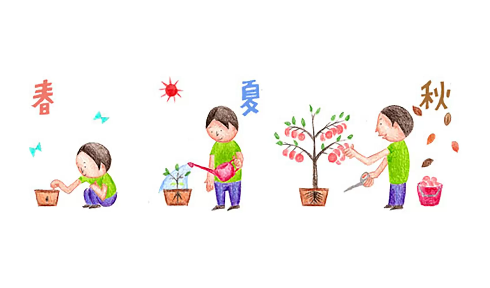 売っている野菜などには農薬がついているのですか？