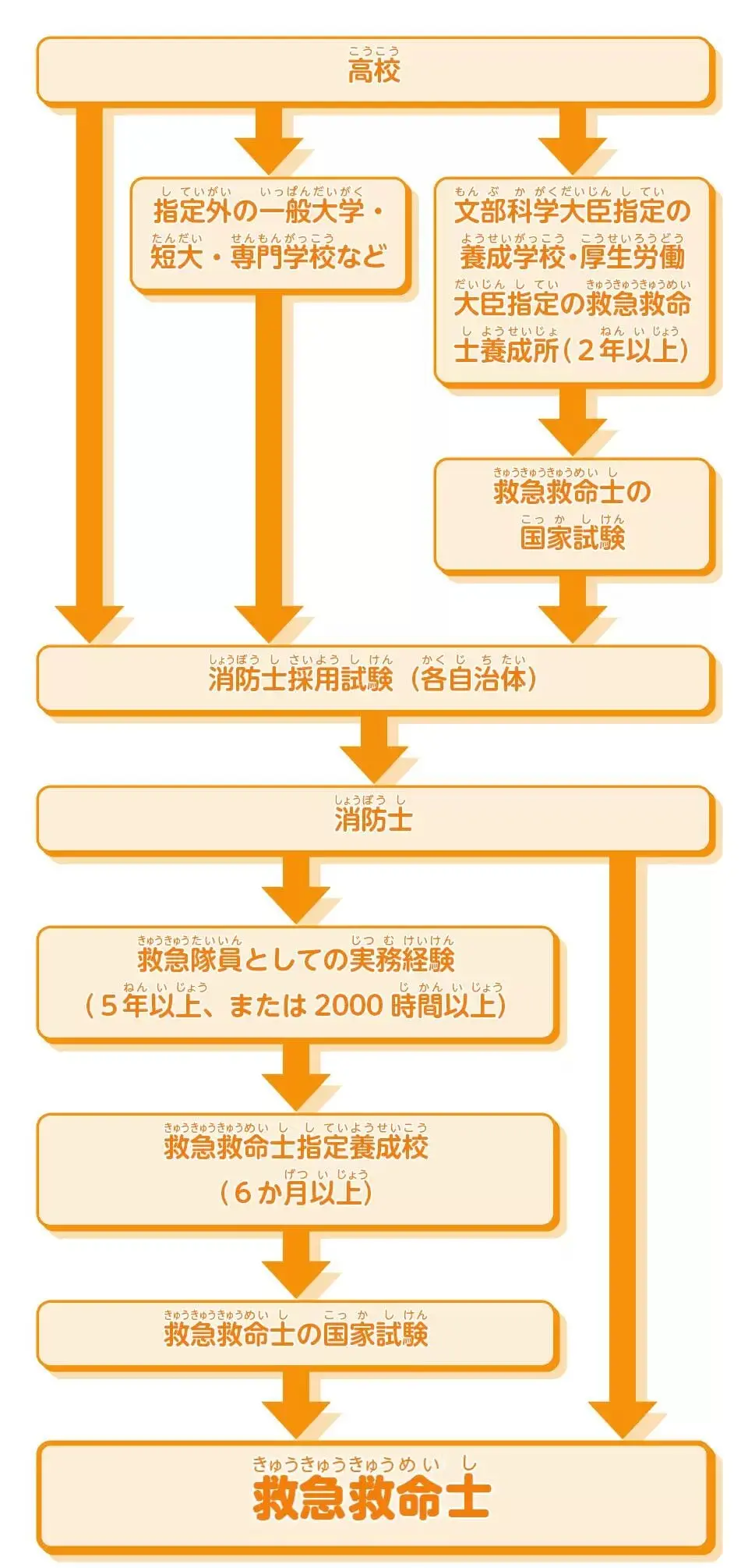 救急 救命 士 資格