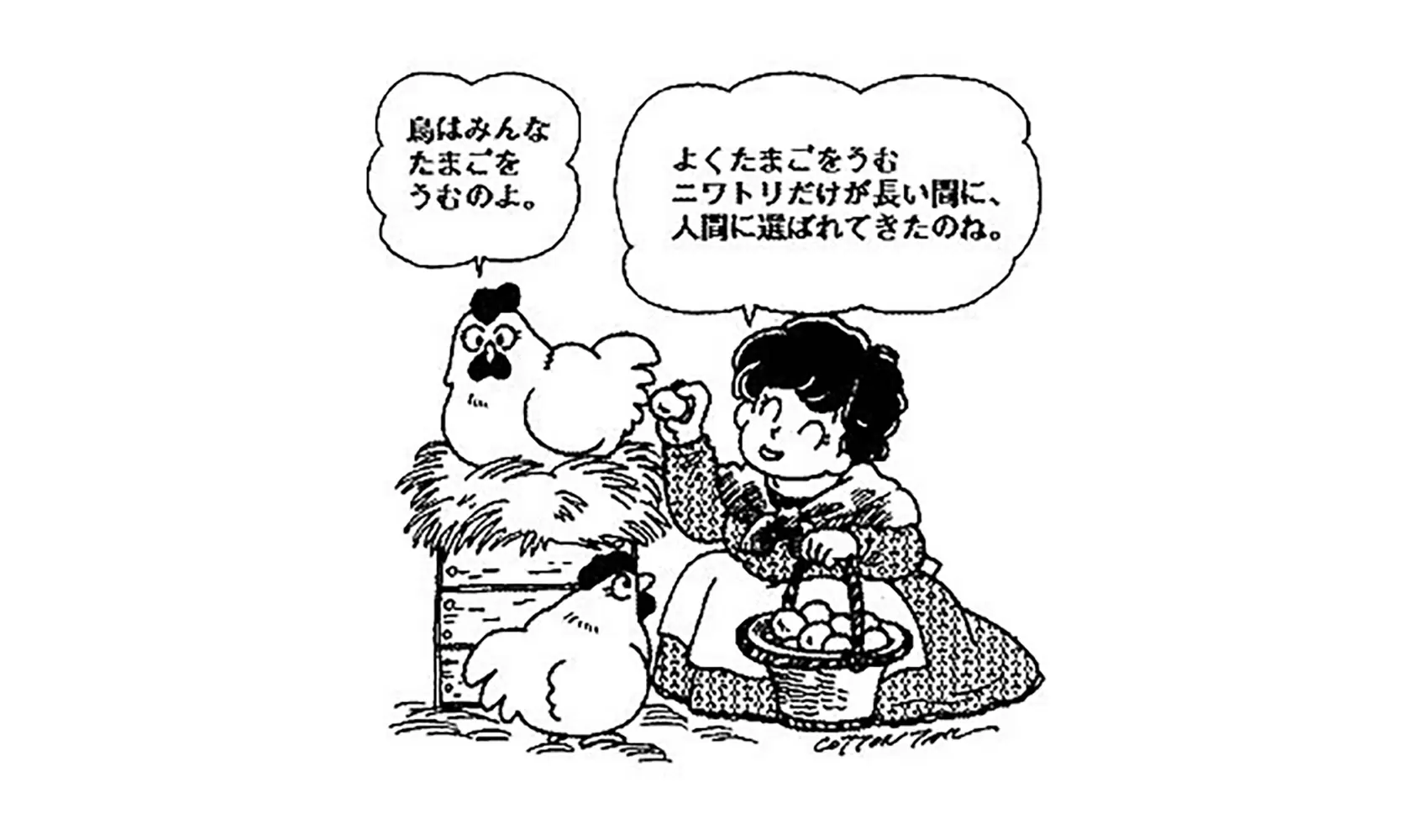 ニワトリはどうしてたまごをうむの