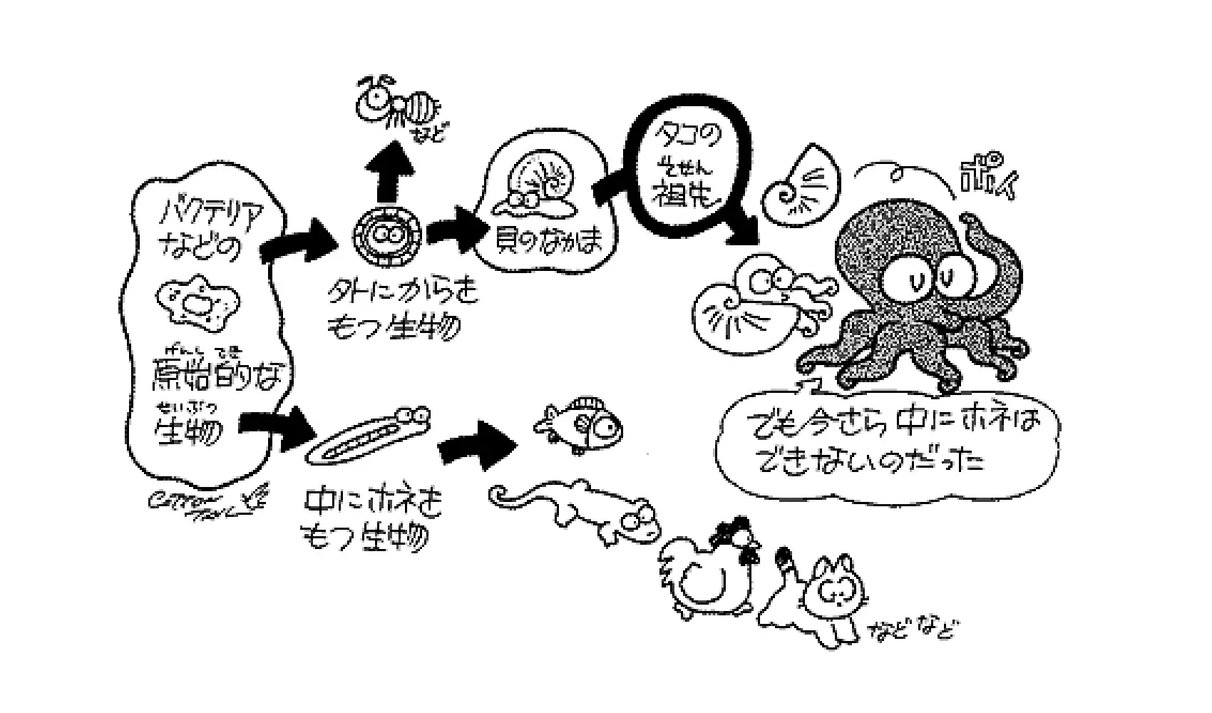 どうしてタコには骨はないの