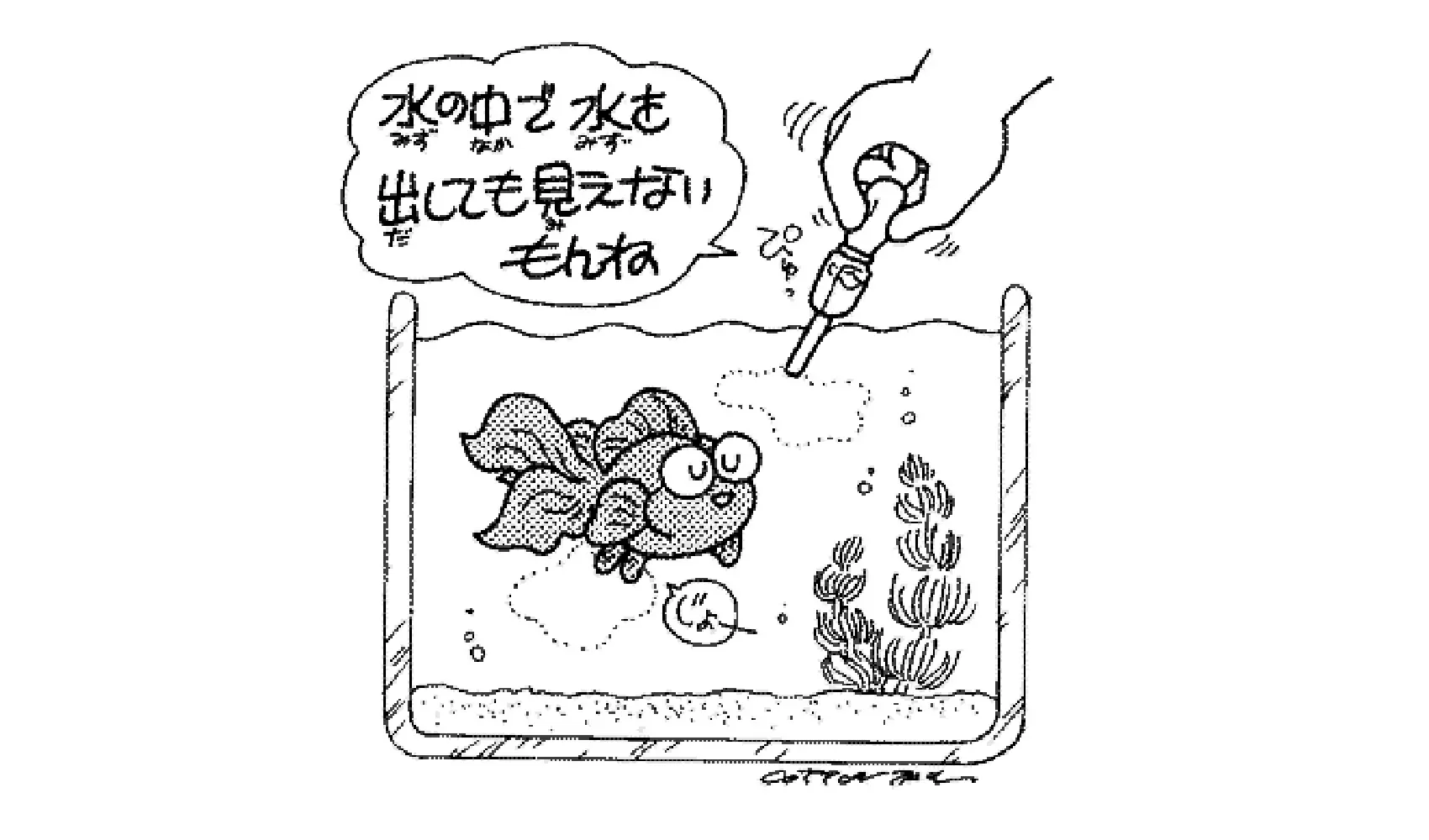キンギョはおしっこをするの