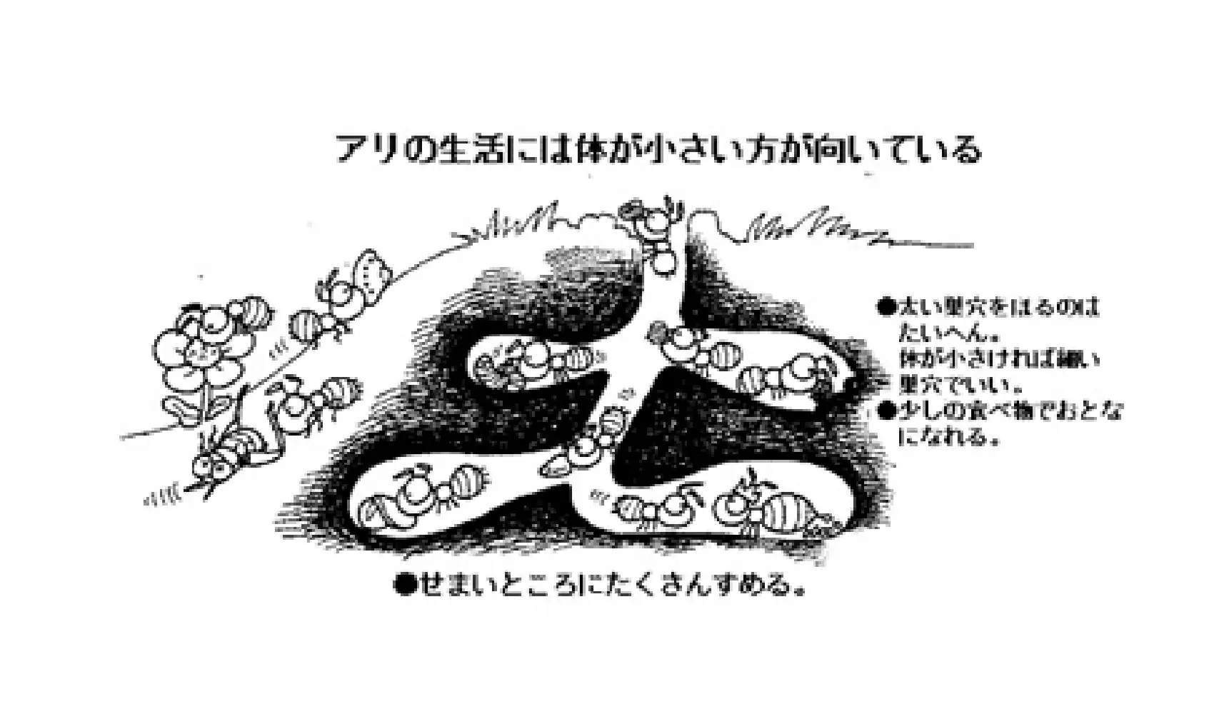 アリはどうして小さいの
