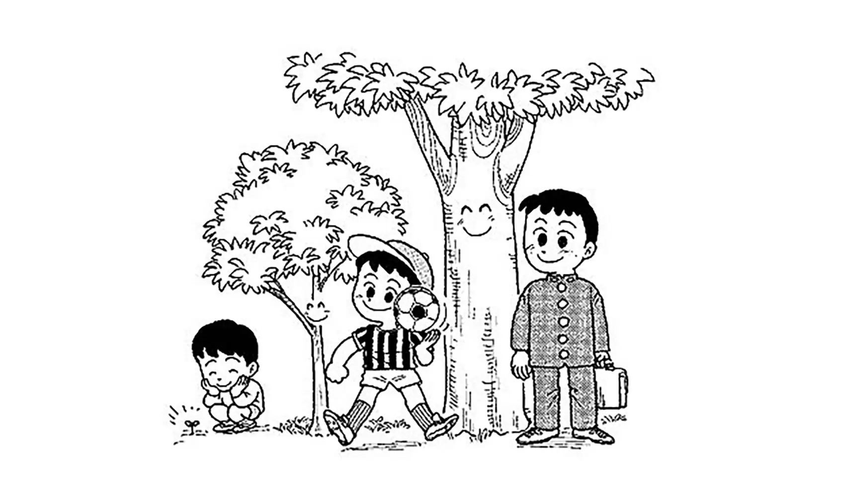 木はどうしてあんなに大きく育つの