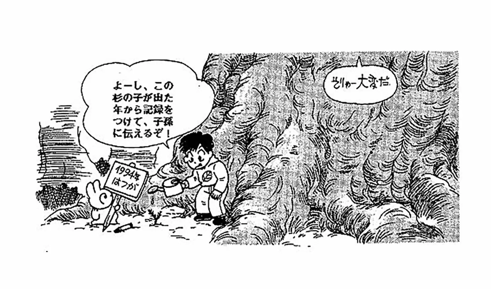 木の寿命は何年くらいなの