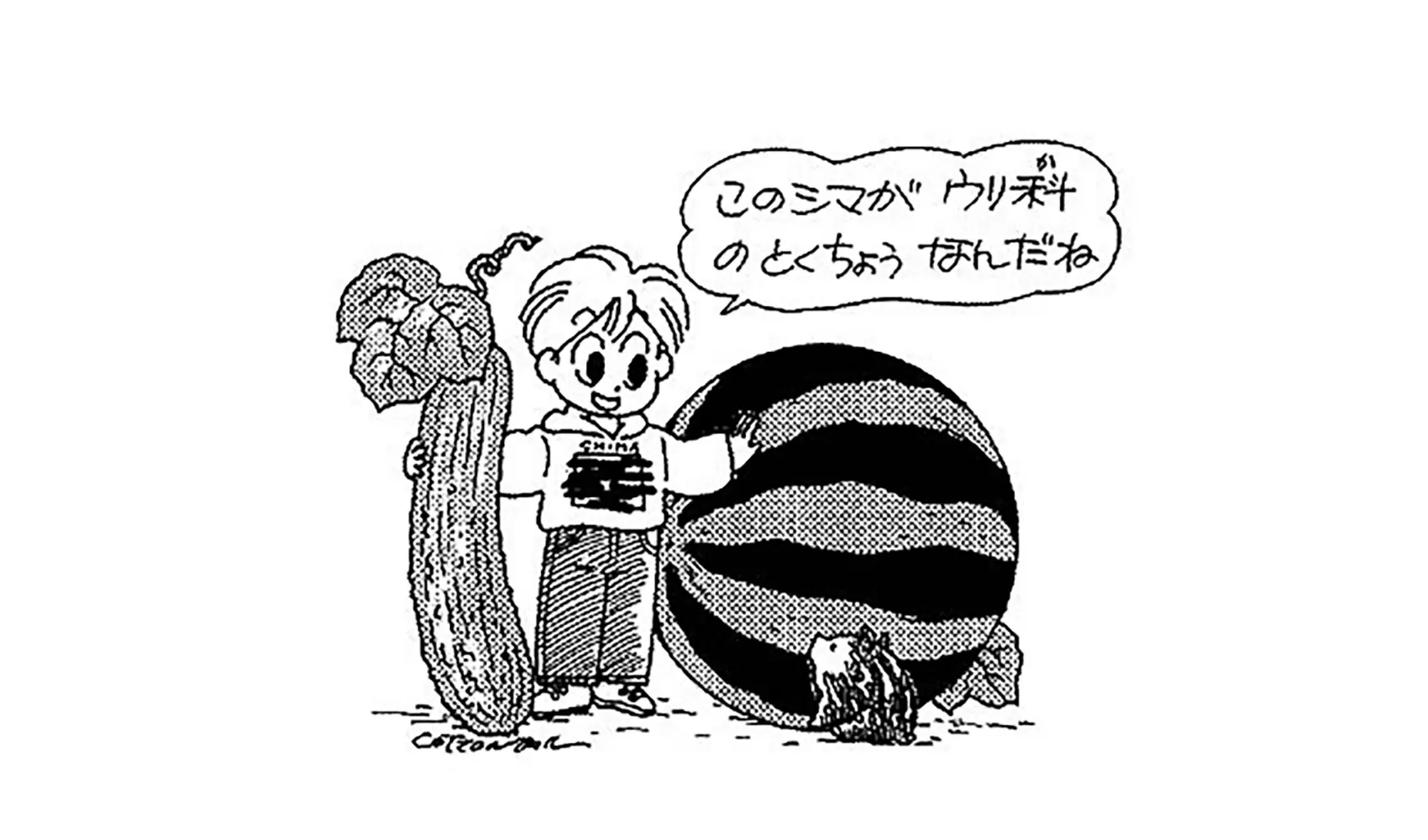 スイカにはどうして黒いしまもようがあるの