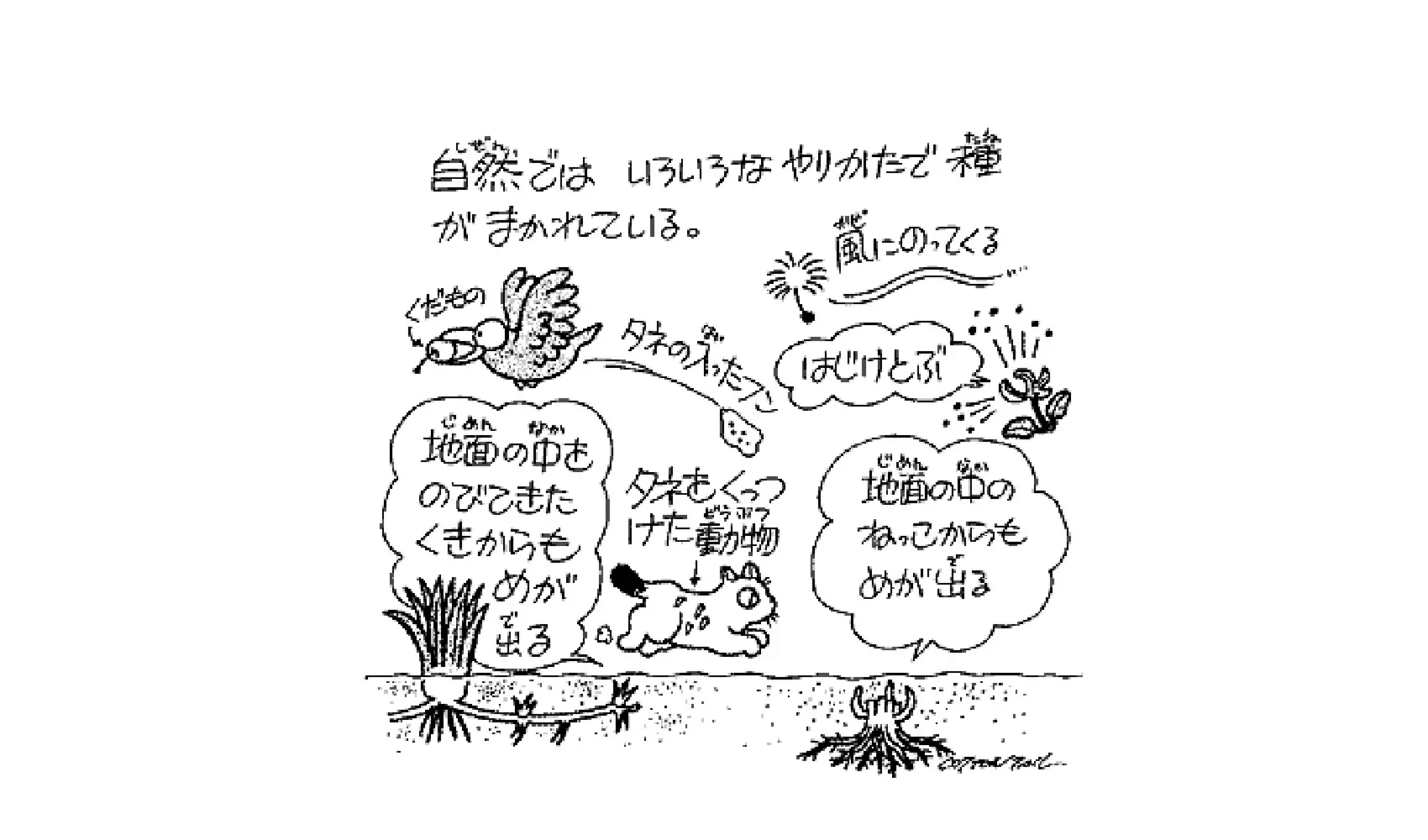 草はどうして種をまかないのにはえてくるの