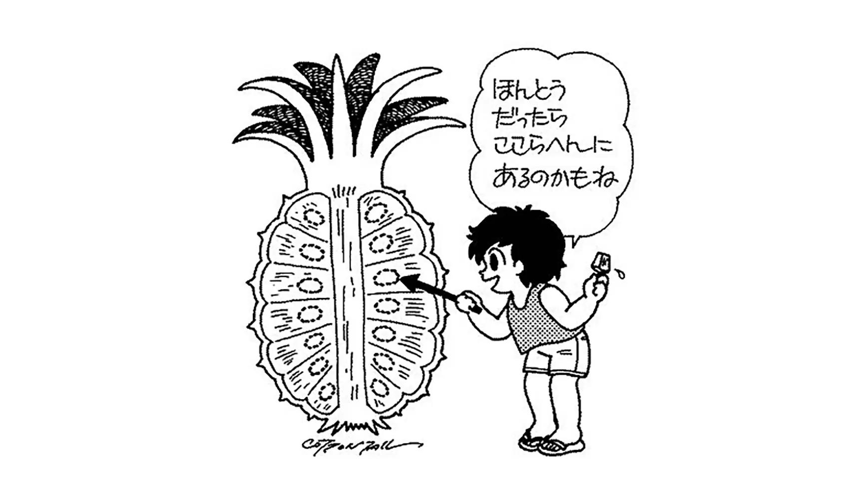 パイナップルに種はあるの，あるならどこにあるの