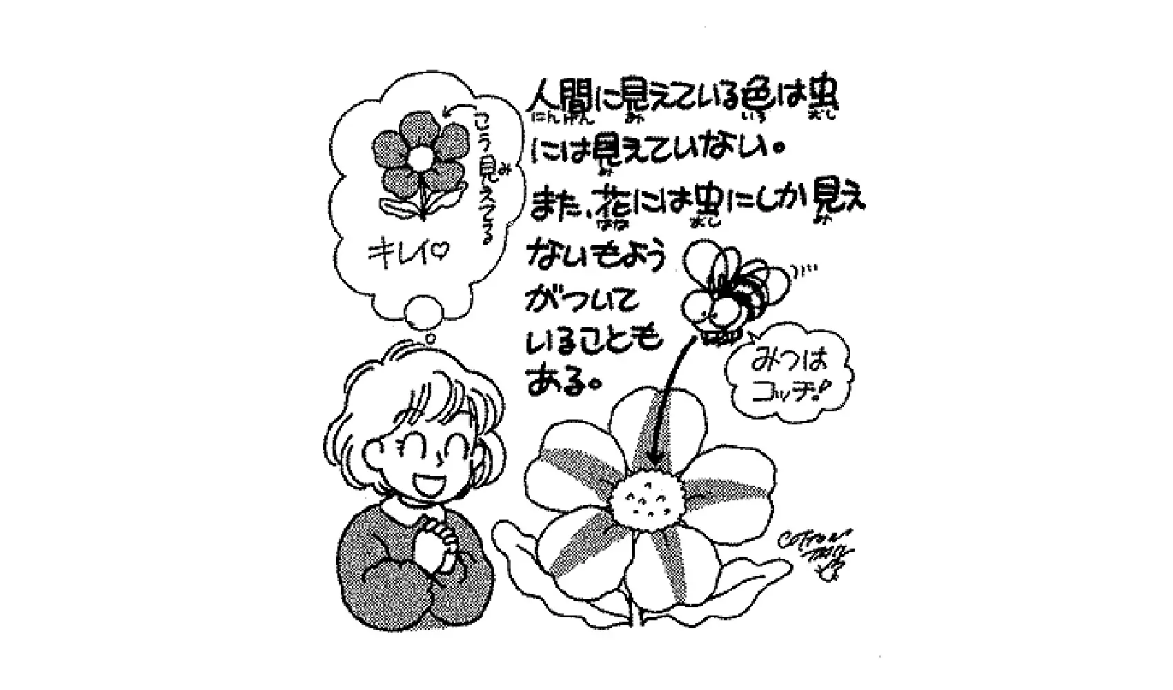 花はどうしてきれいなの