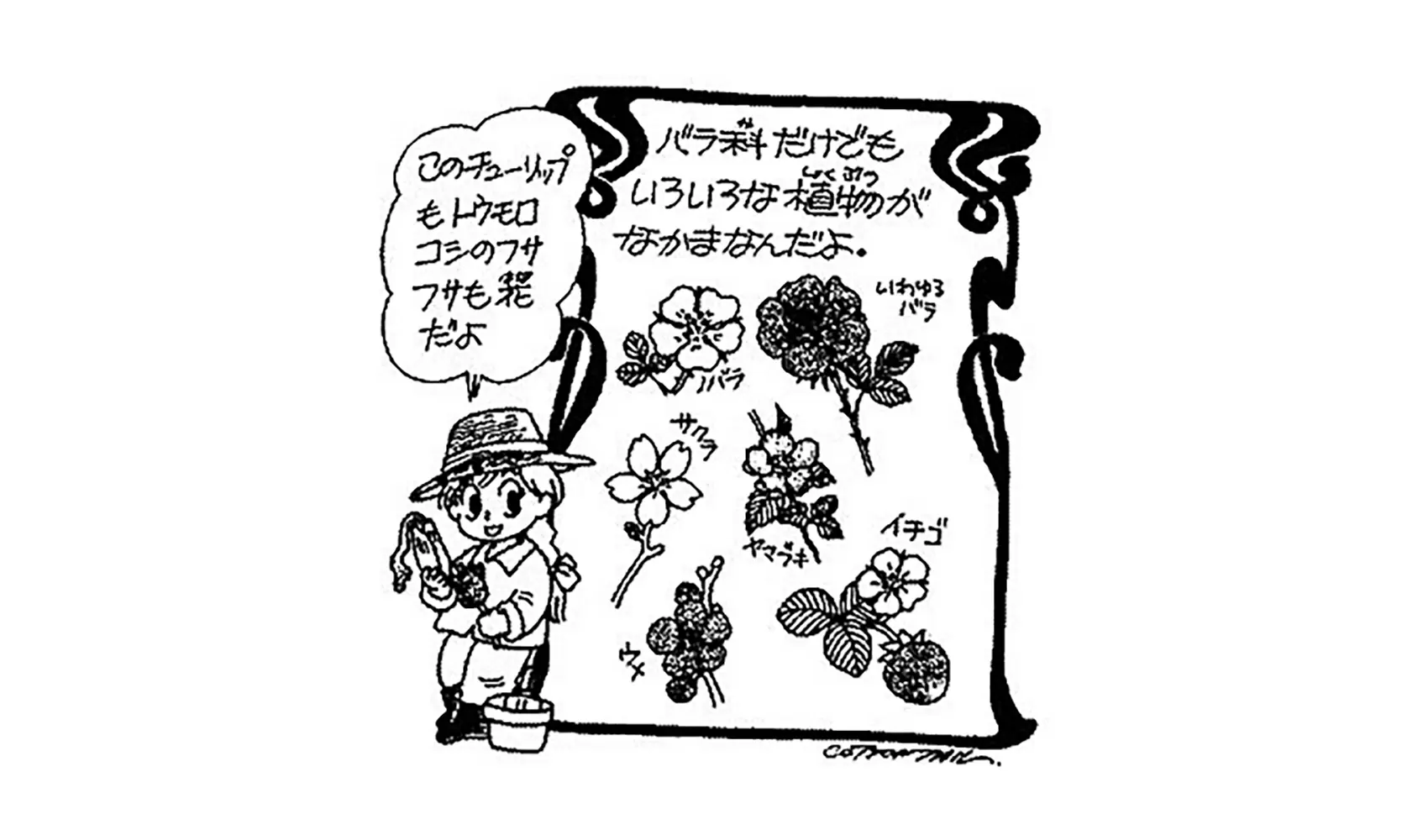 花の種類は全部でいくつあるの