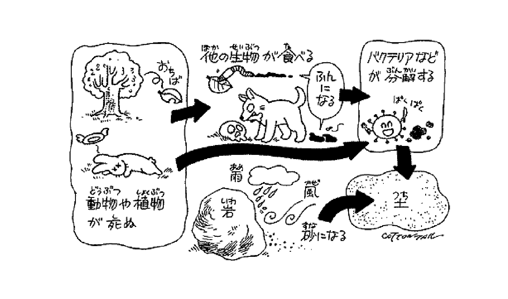 土は何からどうやってできるの