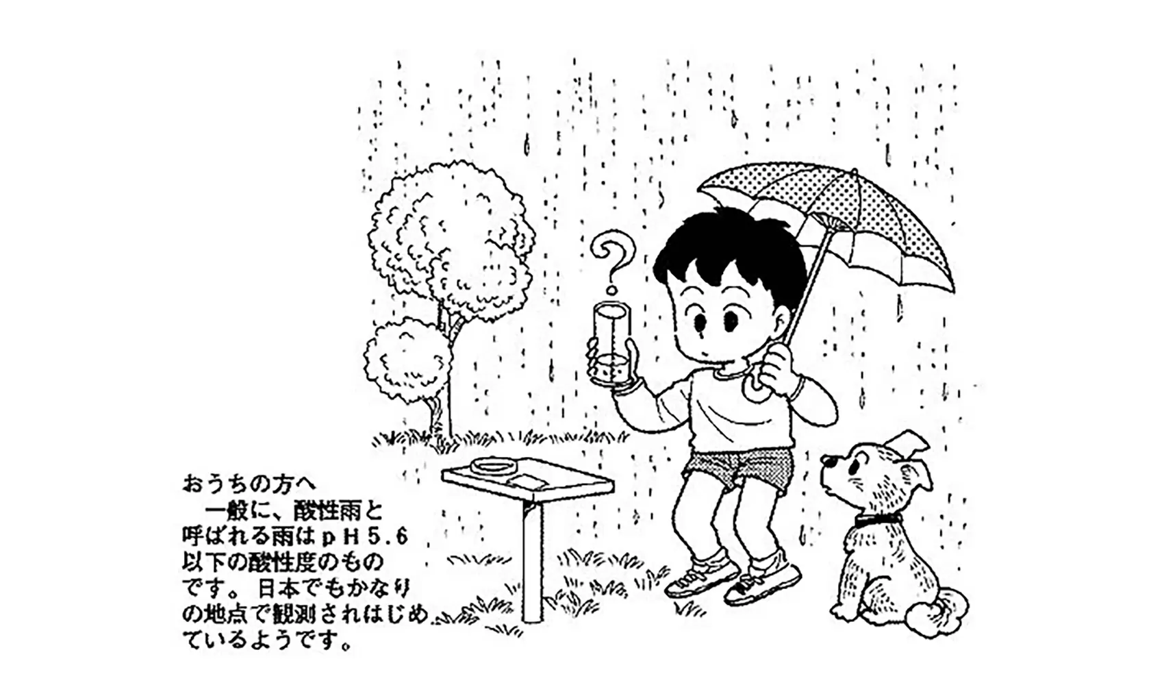雨には何がふくまれているの