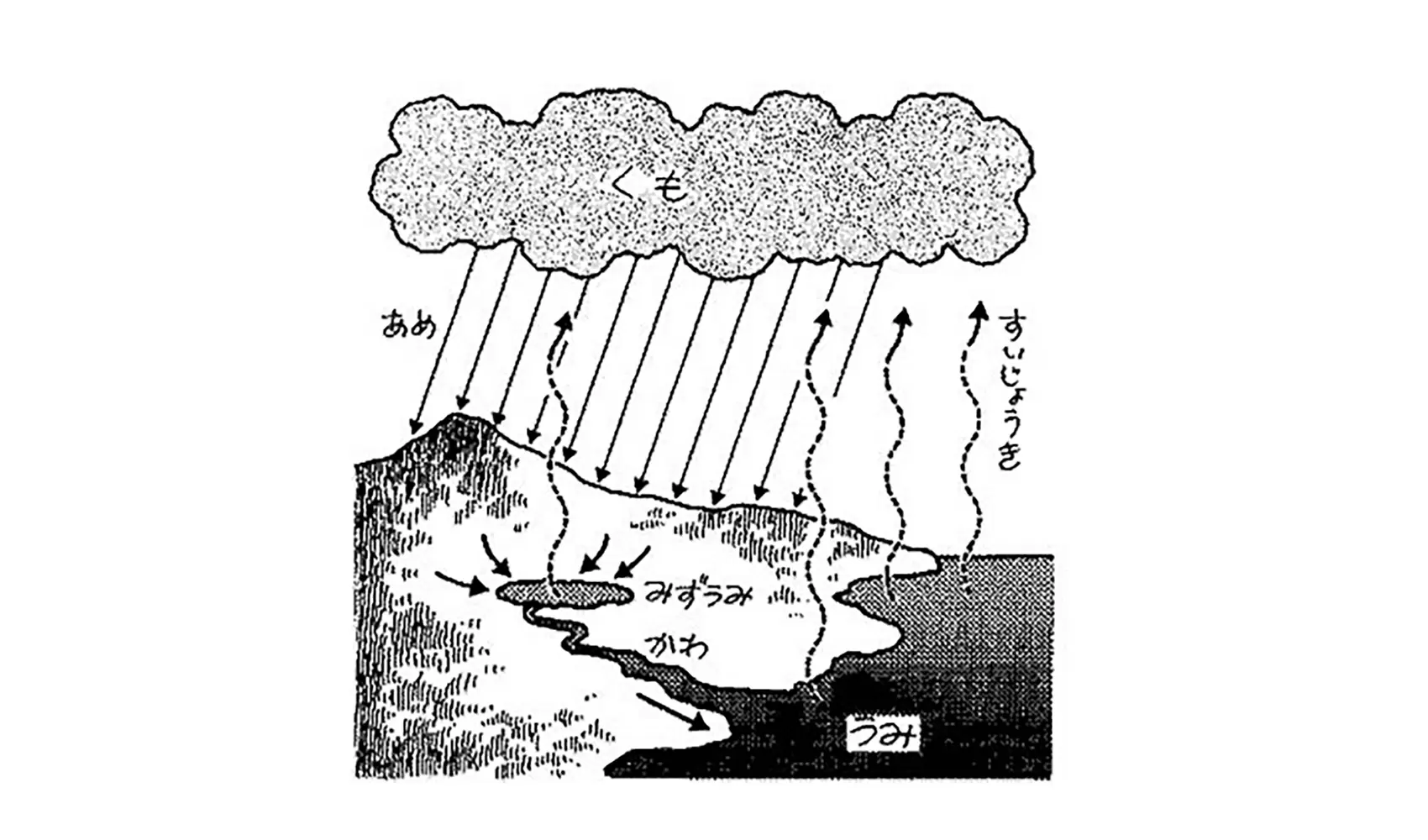 雨の水はどこにあるの