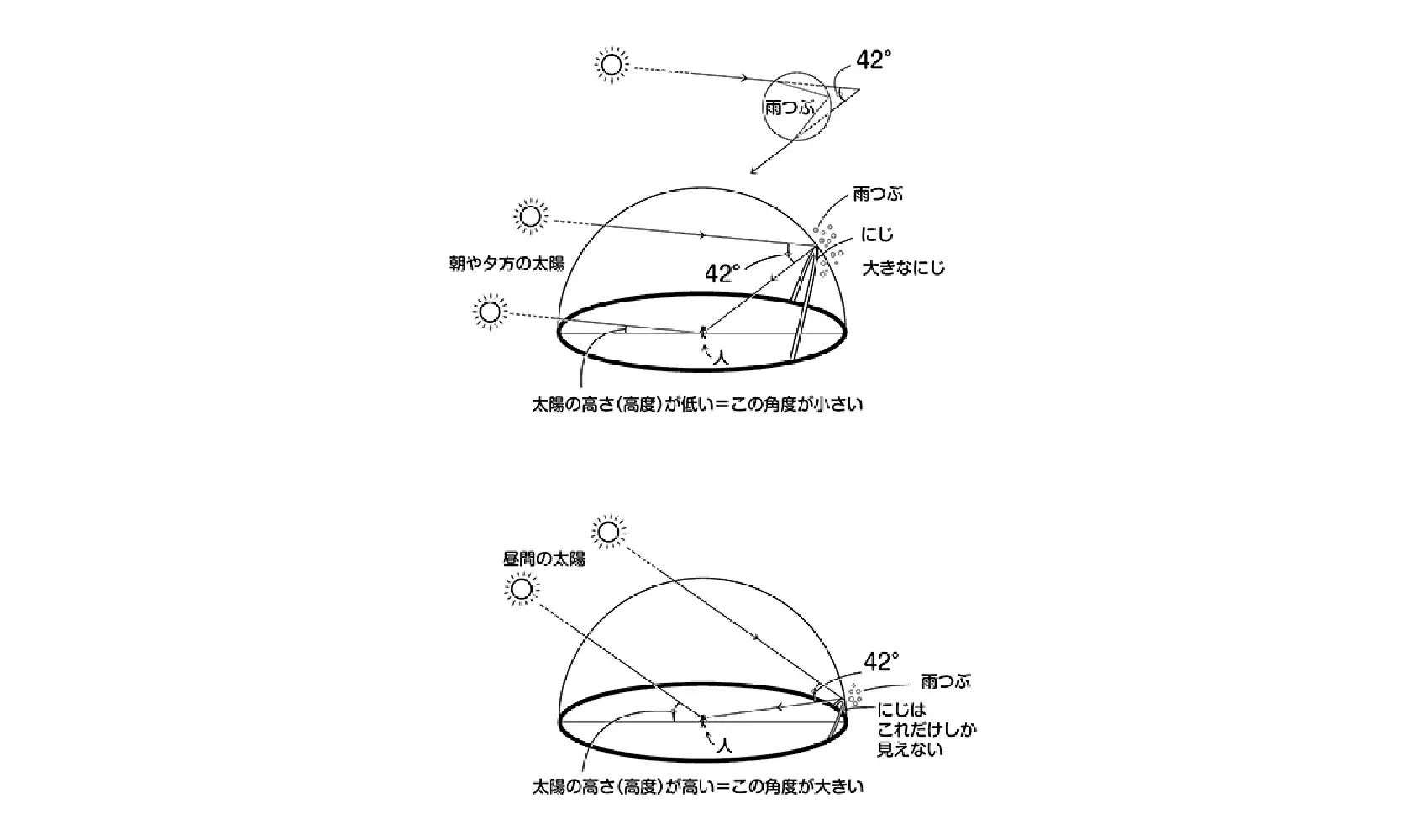 なぜ太陽の高さが高いとにじは低く見えて、太陽の高さが低いと高く見えるの
