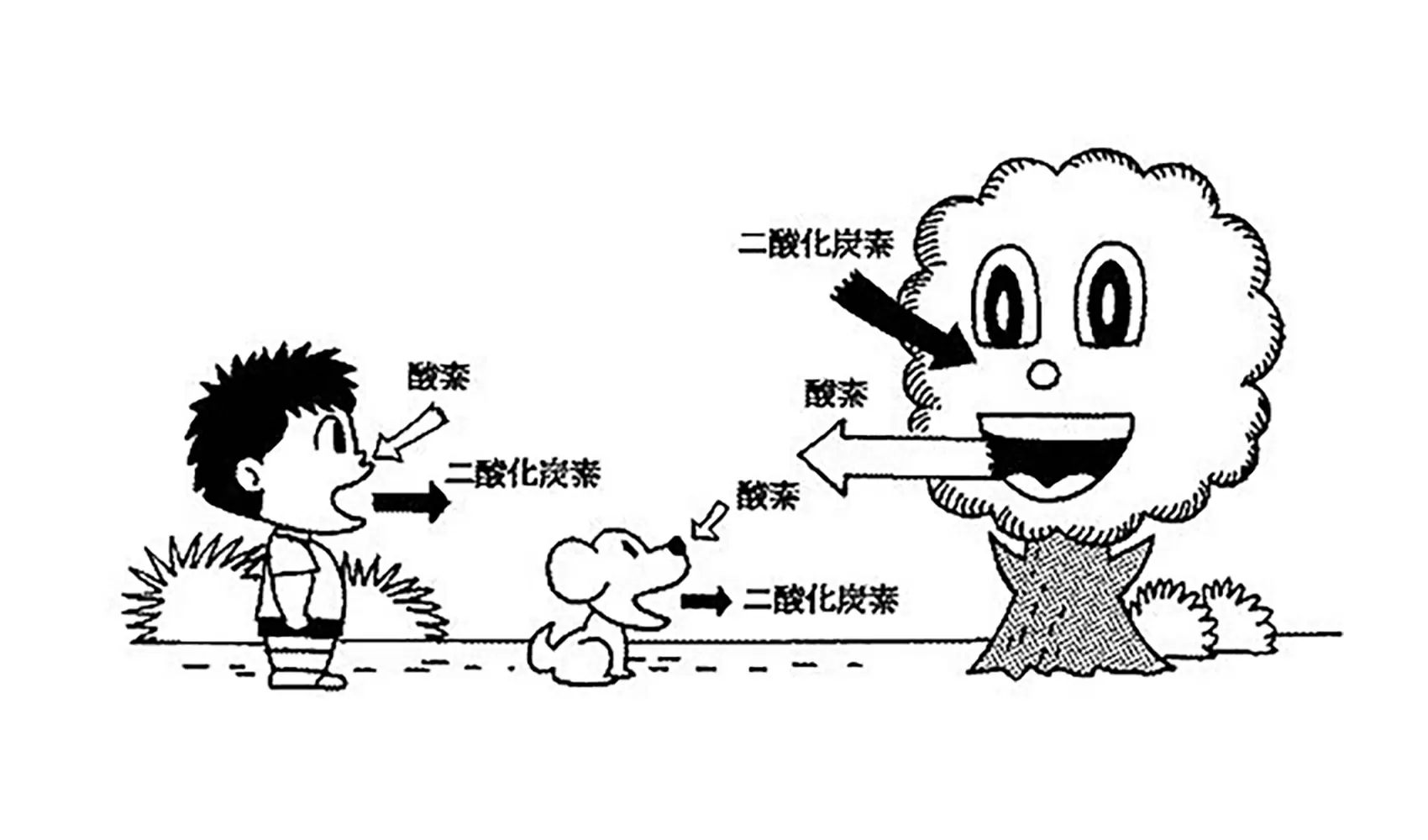 どうして空気はすってもすってもなくならないの