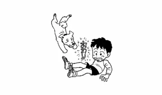 宇宙に終わりはあるの