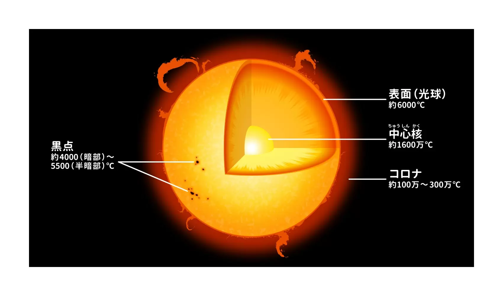 太陽の温度は何度くらいなの？ | 宇宙 | 科学なぜなぜ110番 | 科学 | 学研キッズネット