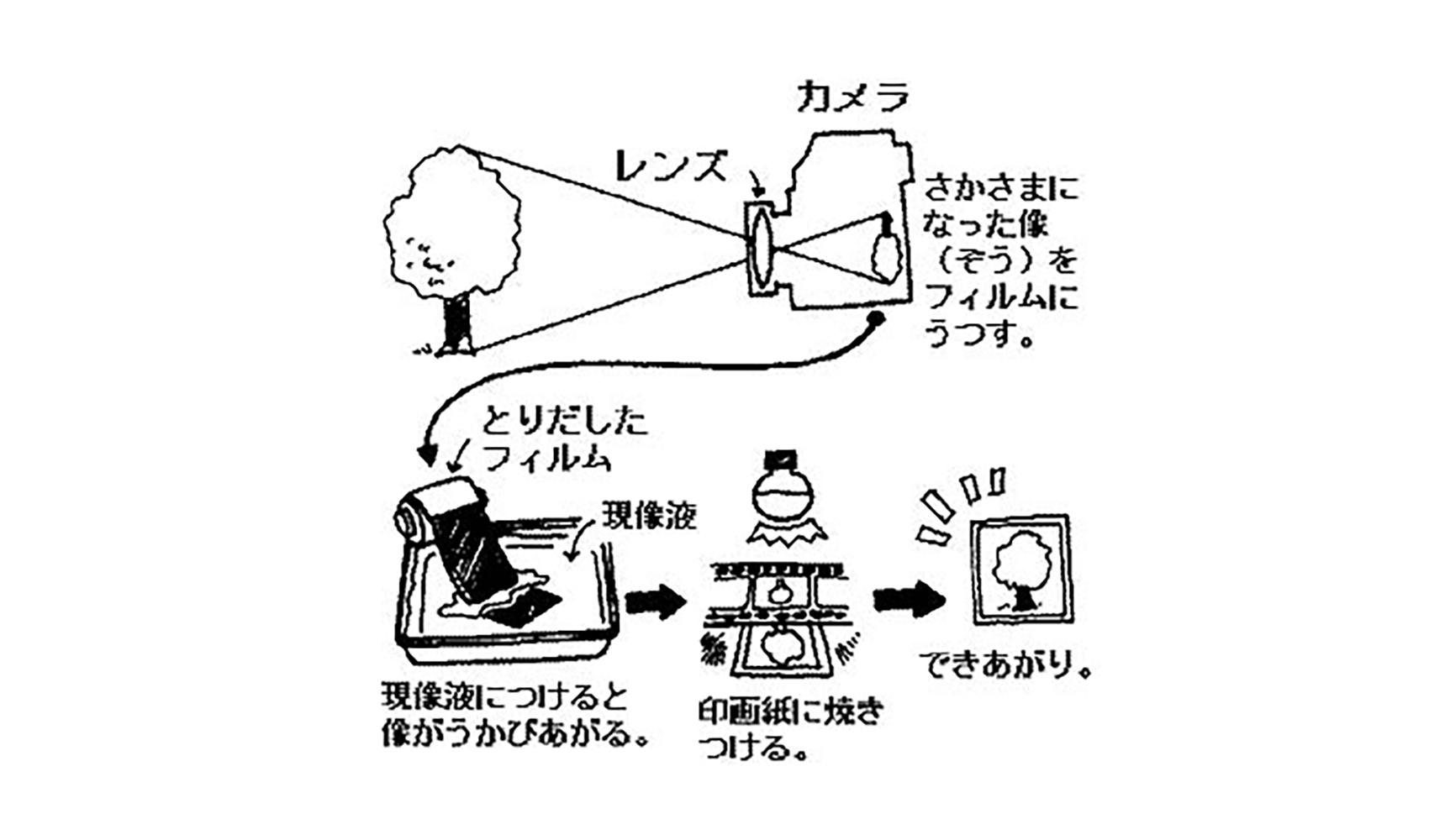 カメラはどうして写真がとれるの