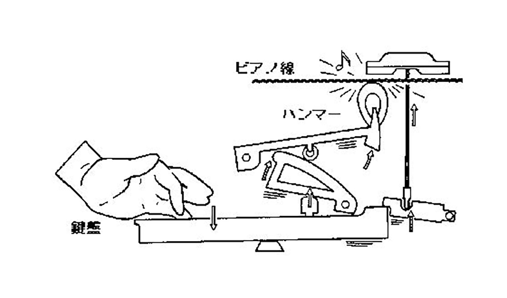 ピアノはどうして音がでるの 身近なふしぎ 科学なぜなぜ110番 科学 学研キッズネット