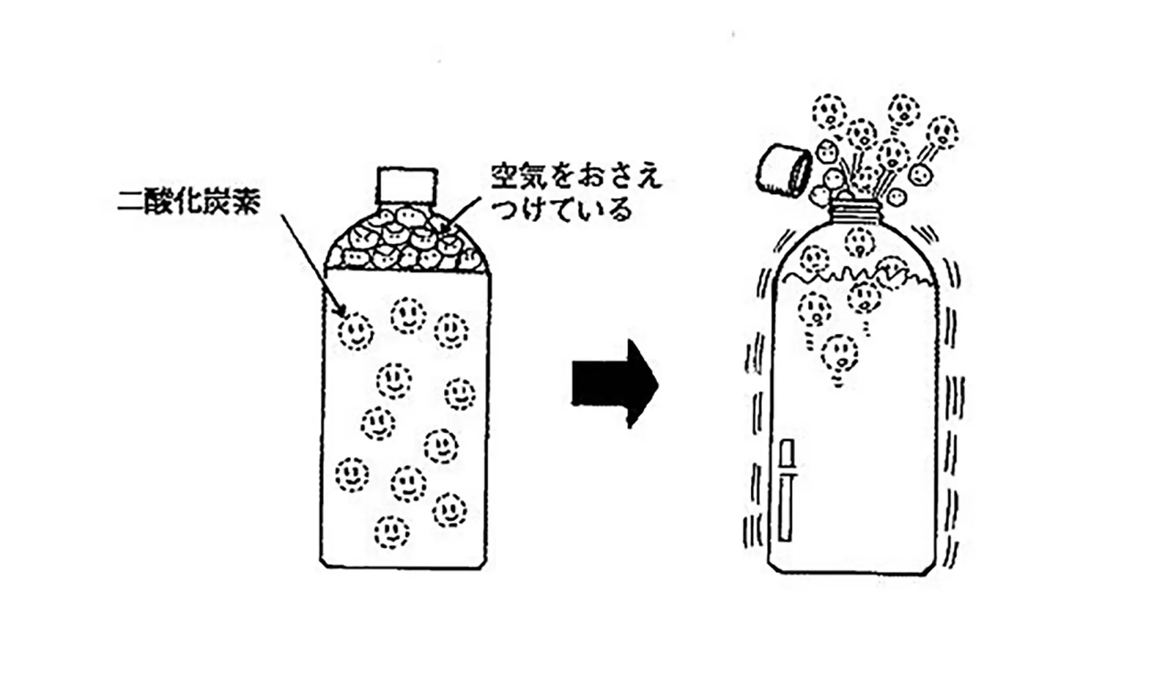 コーラやサイダー（炭酸飲料）はどうしてあわがでるの | 身近なふしぎ