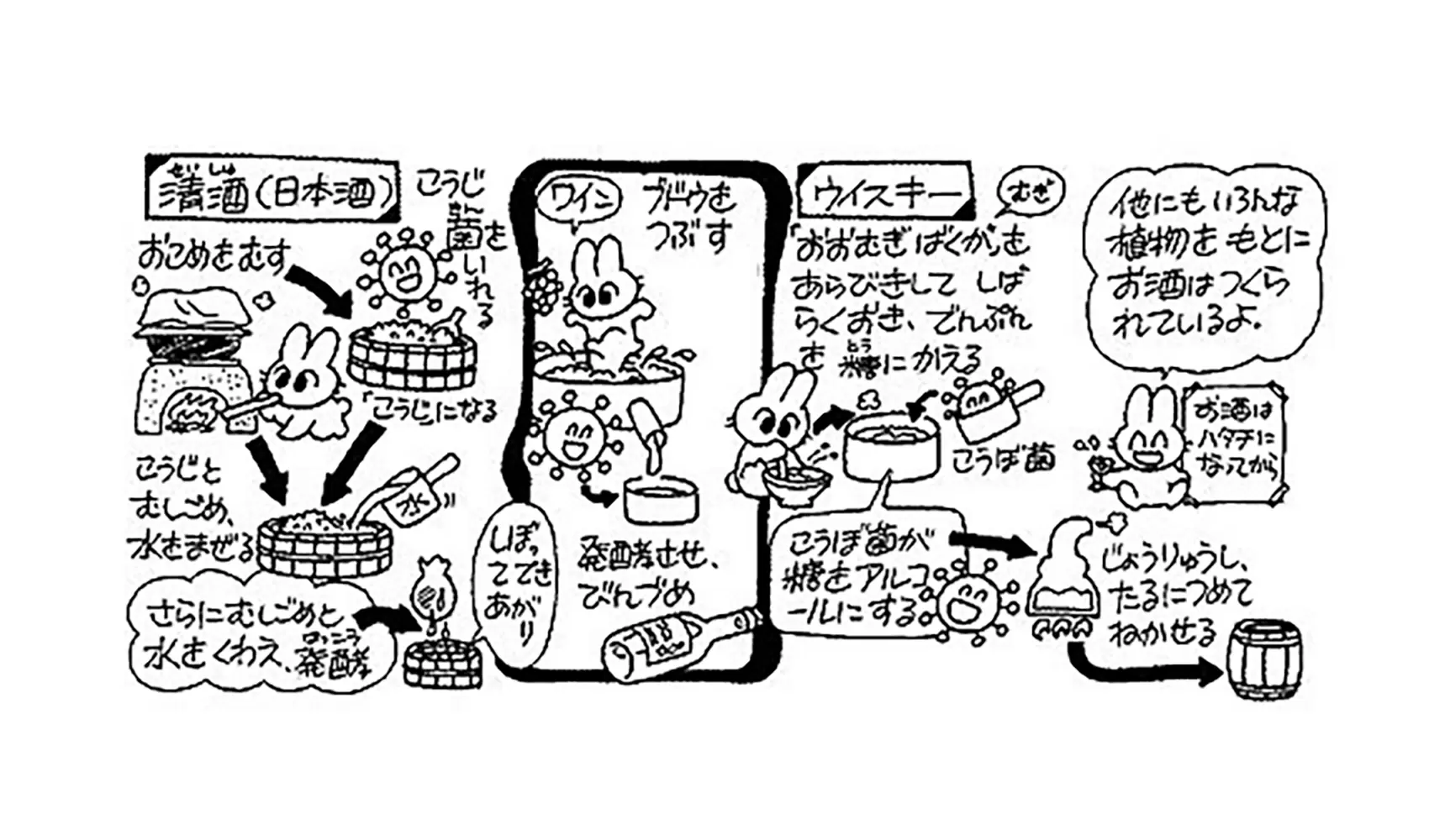お酒はどうやってつくるの | 身近なふしぎ | 科学なぜなぜ110番 | 科学 