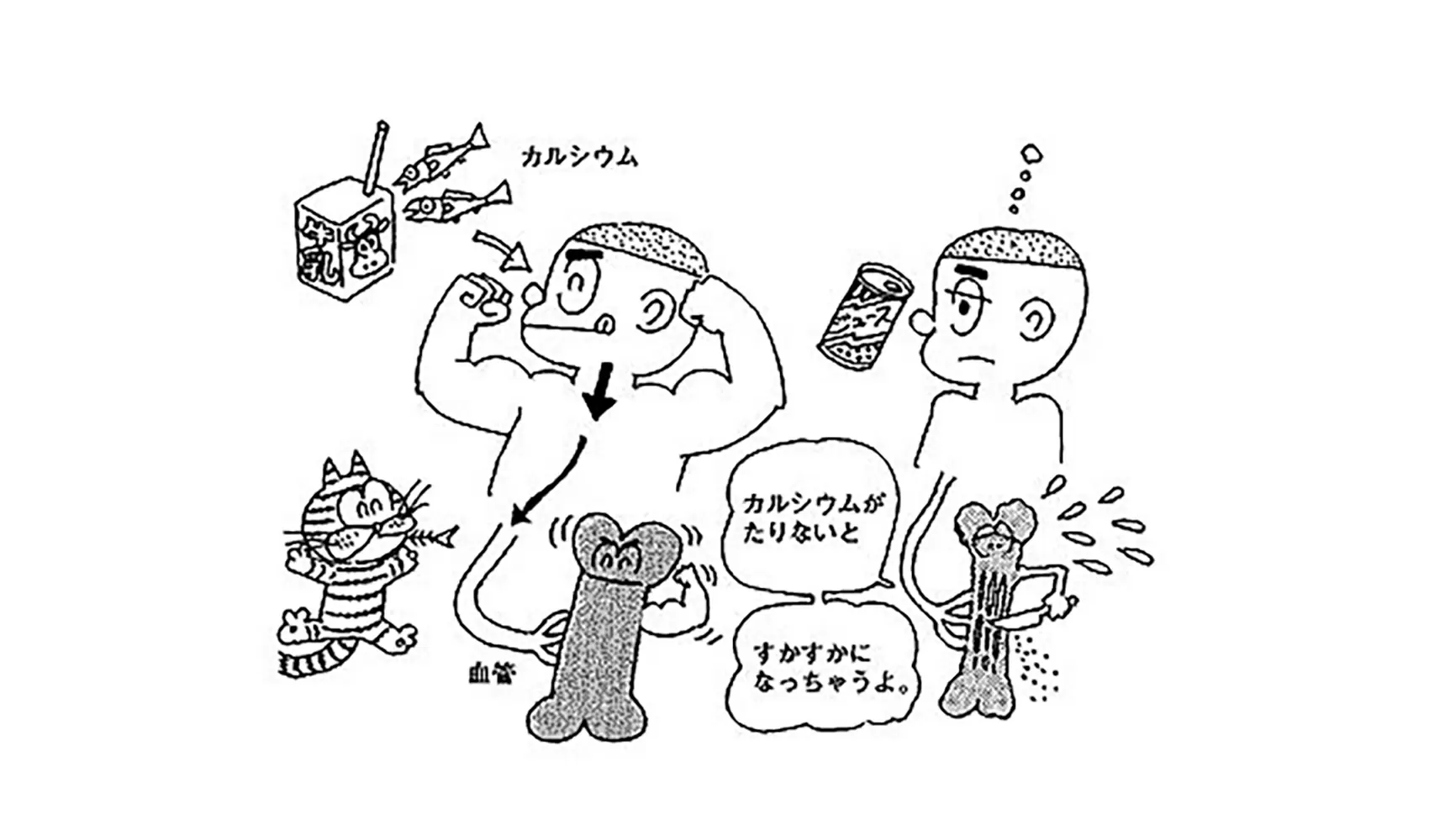 炭酸のジュースを飲みすぎると歯や骨がとけるって本当