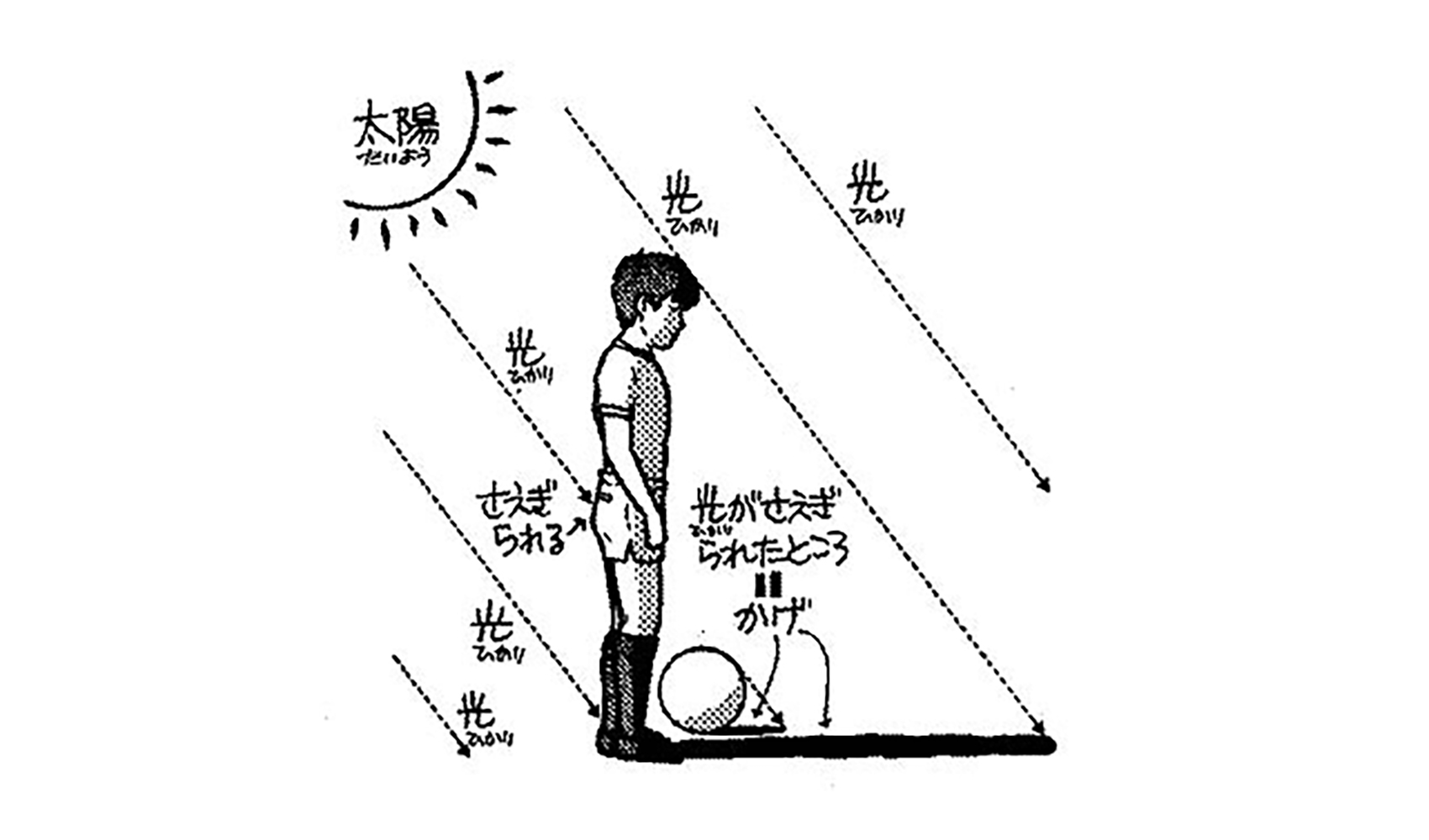 かげはどうしてできるの 理科の実験 科学なぜなぜ110番 科学 学研キッズネット