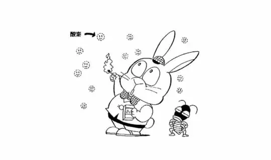 火はどうしてもえるの