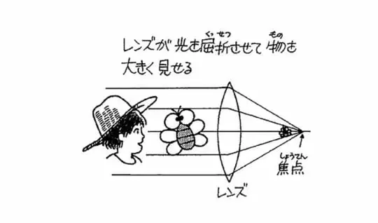虫めがねはどうして物が大きく見えるの