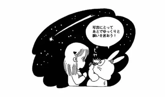 流れ星は本当にねがいがかなうの