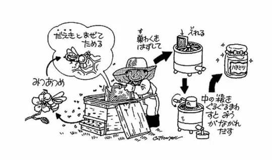 はちみつはどうやってつくるの