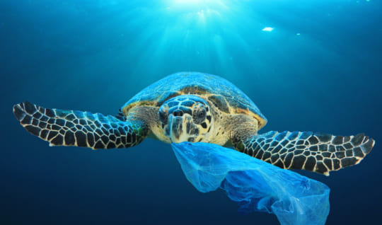 「地球防衛隊SDGs」第３話解説編「2050年には魚よりゴミのほうが多くなる？」