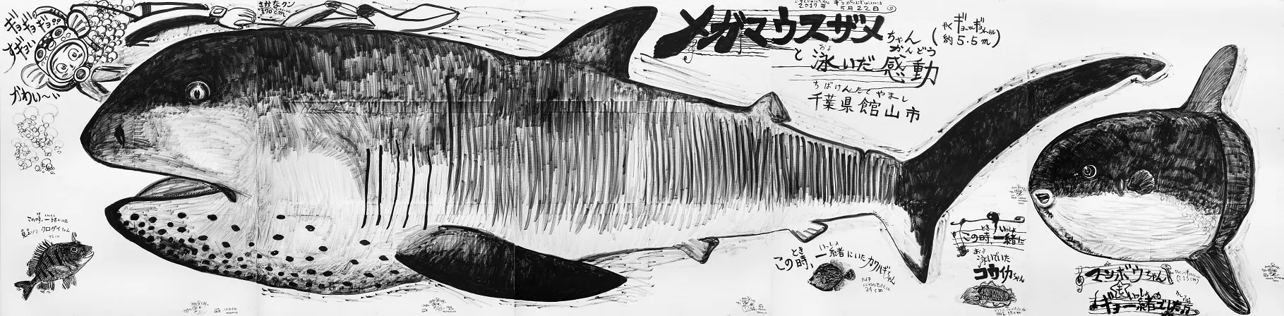 さかなクン「メガマウスザメちゃんと泳いだ感動 千葉県館山市」2020年 筆ペン