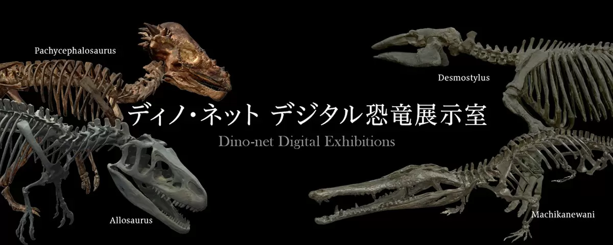 迫力ある恐竜の化石を自宅にいながら見ることができる「ディノ・ネット　デジタル恐竜展示室」が公開！