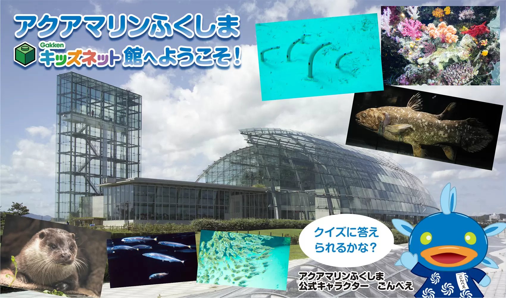 おさかなはかせクイズ！　テーマは「ナメダンゴ」だよ！【3月9日（火）の問題】