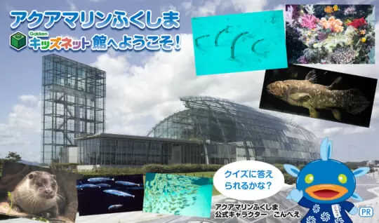 クイズに答えて「おさかなはかせ」になろう！