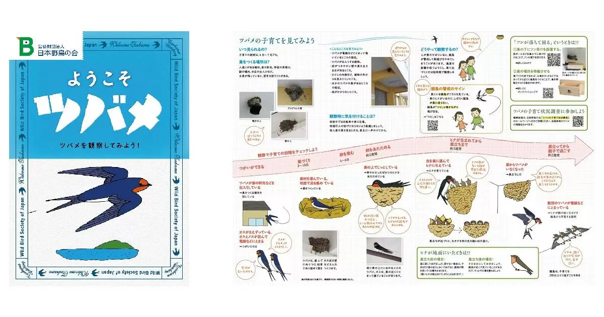 ツバメの巣作りやヒナの成長を観察！　日本野鳥の会が小冊子『ようこそツバメ』を無料配布